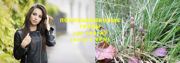 мяу мяу кристалл Лихославль
