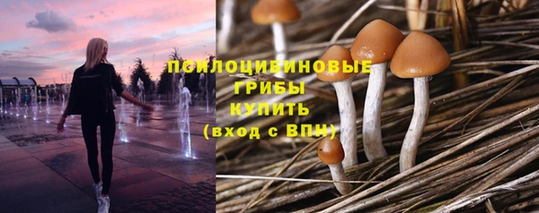 MDMA Premium VHQ Лиски